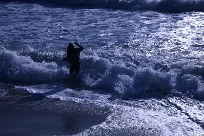 DSC_0434 (Large).JPG